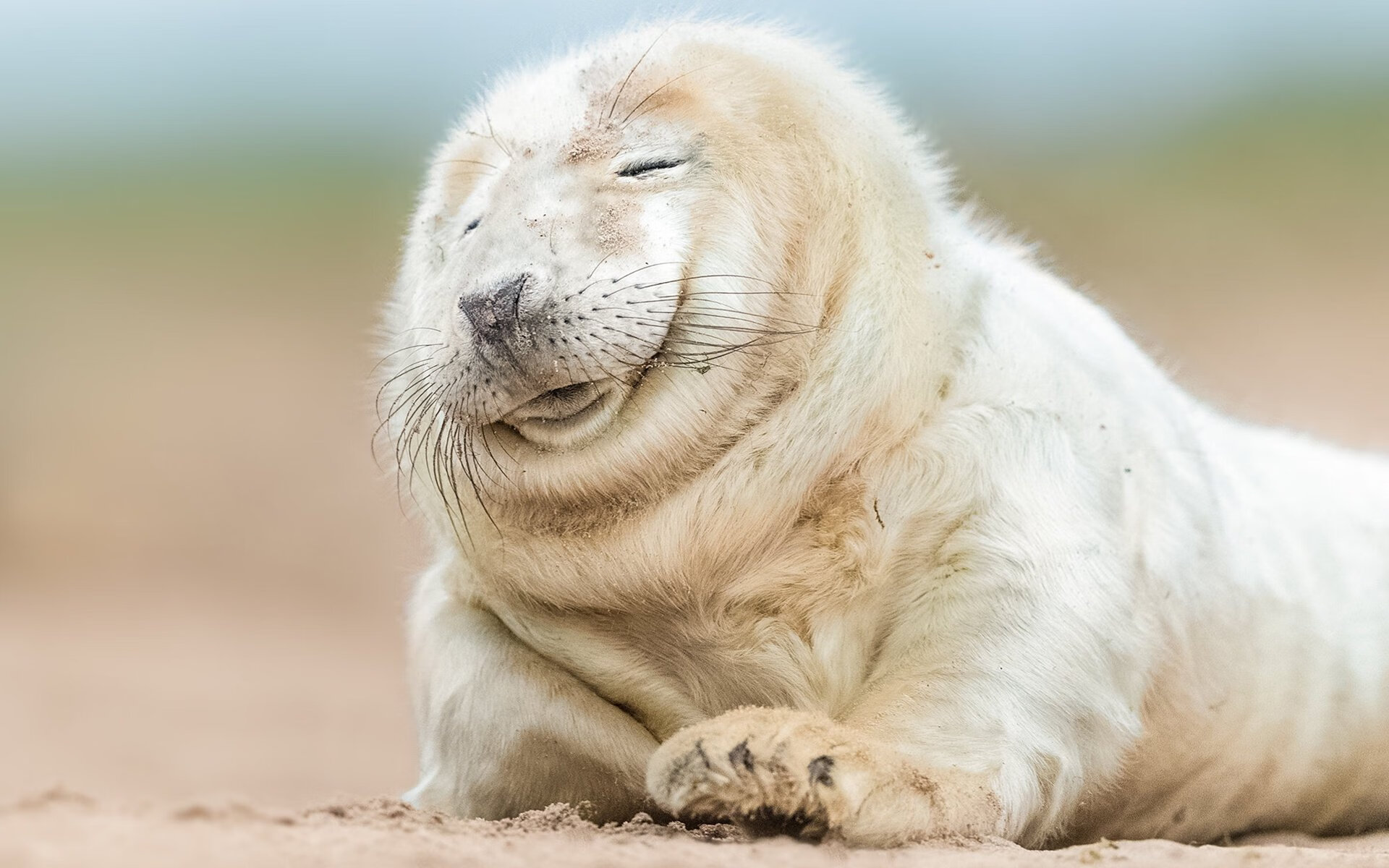 开云平台-NBA新增“队员-社区互动排名”体系，鼓励球员公益，nba球队数据统计排名