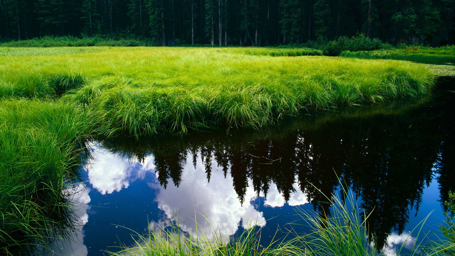 kaiyun 开云体育-《《堡垒之夜》新季节引入科幻元素，未来城市全面开启》，堡垒之夜简介